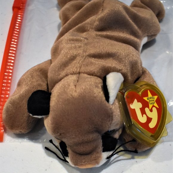 Ty Other - Ty Beanie Baby - Canyon the Cougar